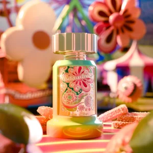 Indomitable - Paris Corner